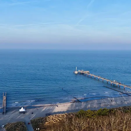 Strandmuschel *