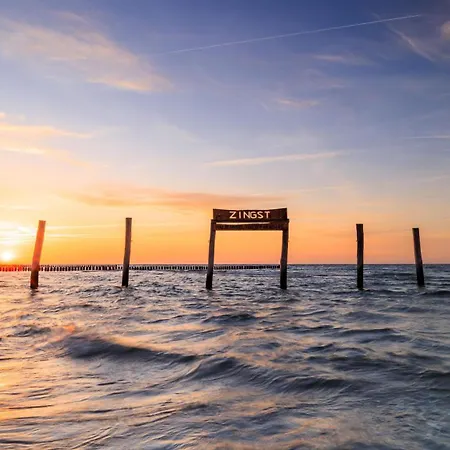 Strandmuschel * Zingst